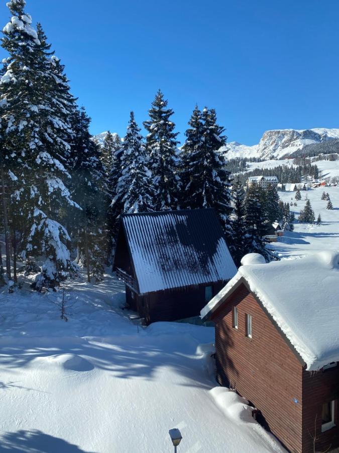 Appartement Zlatni Dar à Žabljak Extérieur photo
